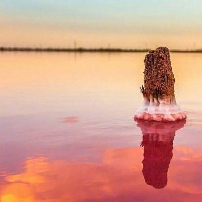 小马婚礼找数字