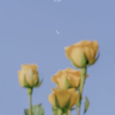 阿尔卡拉斯给梅西送奖杯