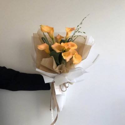 “数据真空”中美股迎大考 英伟达(NVDA.US)和零售业财报成牛市信念试金石