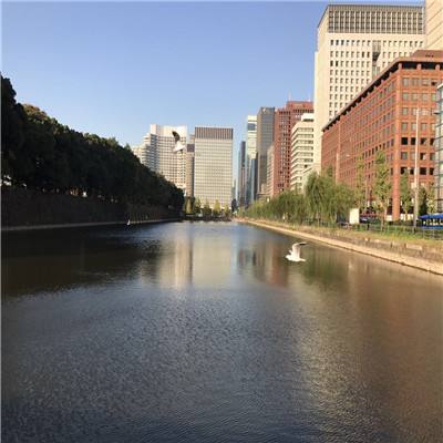 3D少年骇客摩托赛