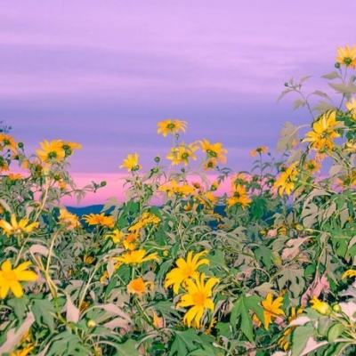 可爱宝贝两小无猜