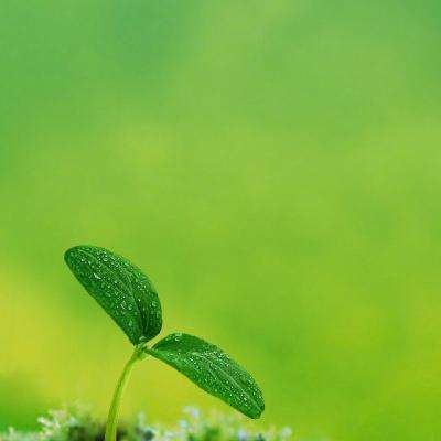 游戏明星大乱斗3