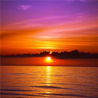 二战前线塔防版