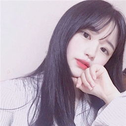 评论员:高市用民众饭碗换个人野心