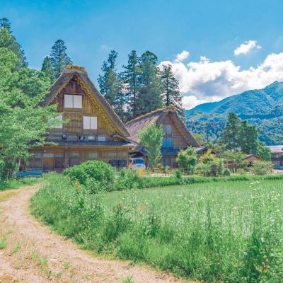 香港大火之下，风暴眼中的竹棚工