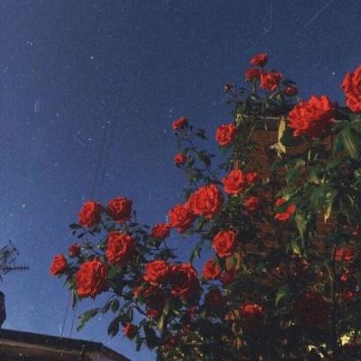 江溯：功能罪责论的反思与展望