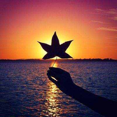 陈剑：星星之火，可以燎原——温岭市参与式预算中国意义