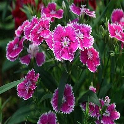 “中国有众多杠杆惩罚日本，东京却毫无手段可施”