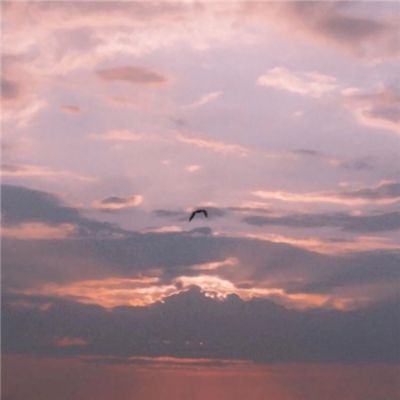 12306回应高铁特等座包间像会议室