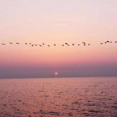 免费职业技能夜校几乎期期爆满