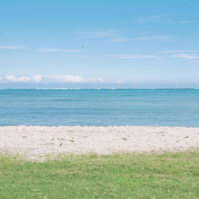 混乱大枪战新版中文版