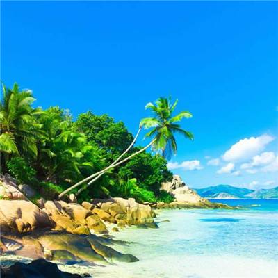 特技汽车素描版