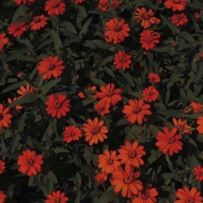 停车场快速停车