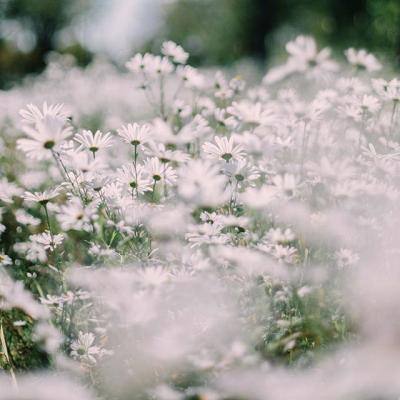 内讧！英超球员掌掴队友被红牌罚下