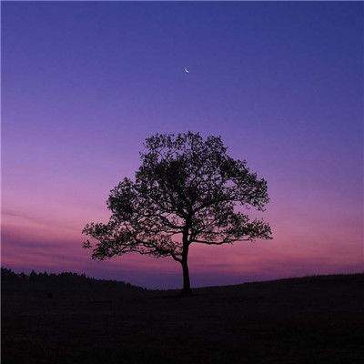 双职工家庭，应该怎么样合理的安排孩子的学习生活？