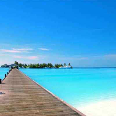 印度网红100元挑战在中国旅游，刚下飞机就花完了，街上想免费搭车被无视