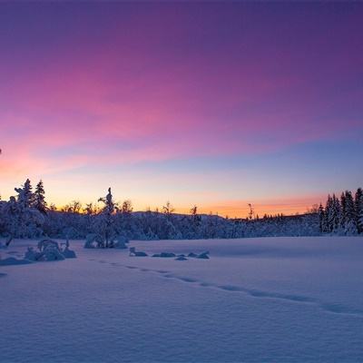 巴西现全球第20例异父异卵双胞胎