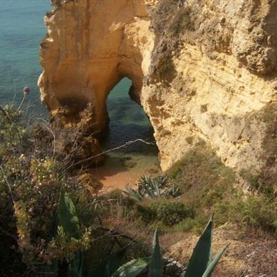 保卫萝卜挑战版2