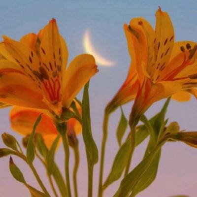 无双三国神将传