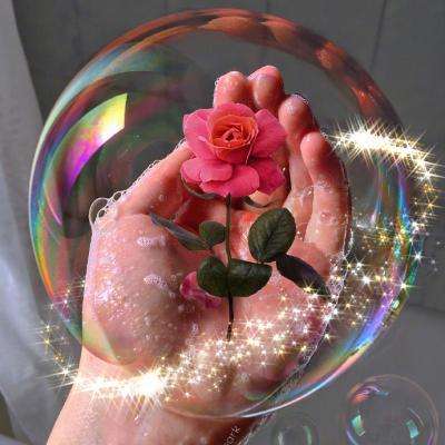 迷你迪斯尼公主换装