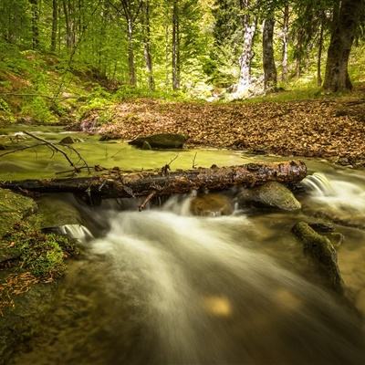 乒乓球混团入奥后，这届世界杯上难度了！