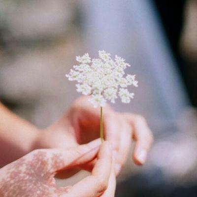 中信建投医药健康C净值上涨1.11%