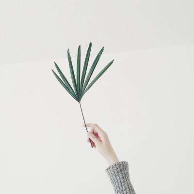 重大资产重组！A股大牛股东方精工突发公告！