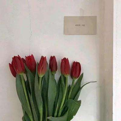 峨眉山发布公告：持有500股即免景区和索道门票