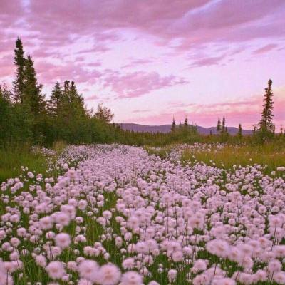 载货大卡车停车