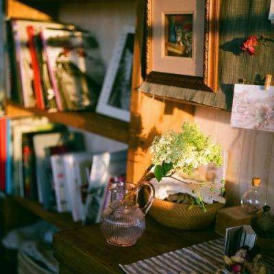 植物大战僵尸之僵尸内战