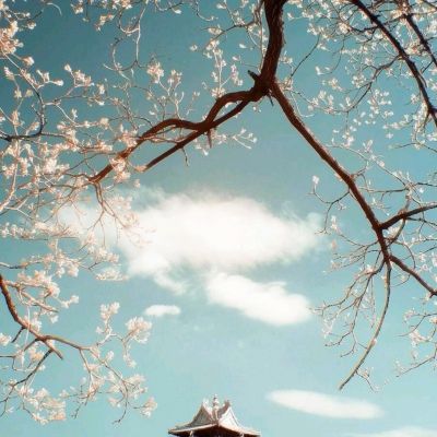 迪士尼公主婚礼模特