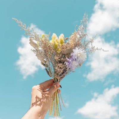 为罗马修路中文版