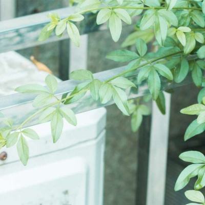 越野吉普车大挑战