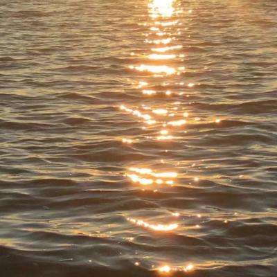 疯狂摩托车特技